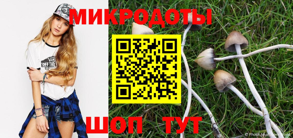 Псилоцибиновые грибы мухоморы Грозный