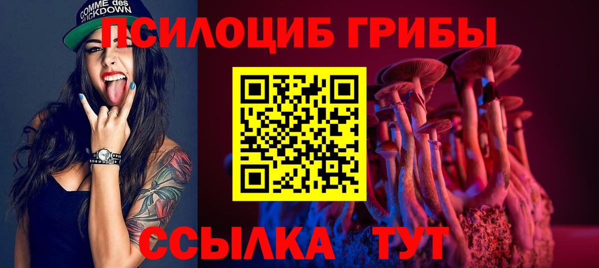 Галлюциногенные грибы Cubensis  Вход с VPN  Грозный 
