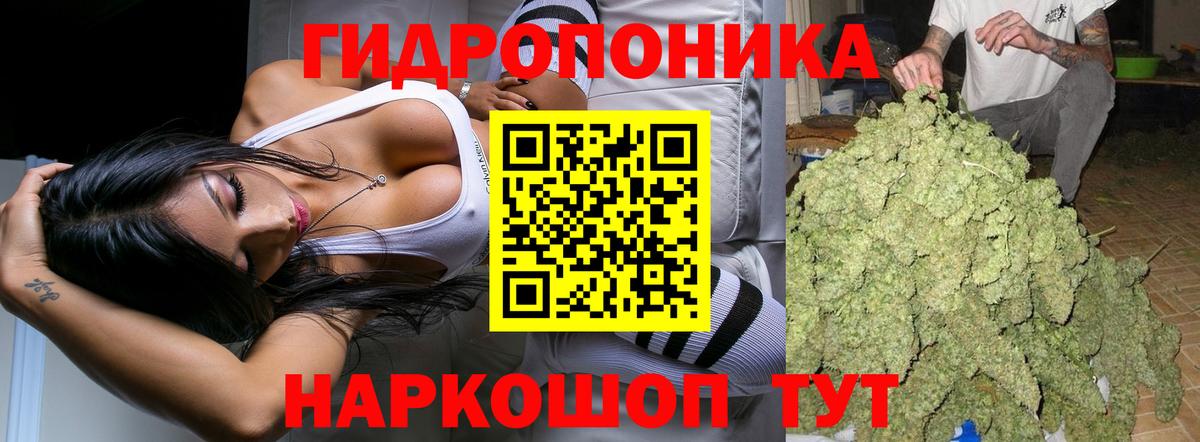 Шишки марихуана AK-47 Грозный